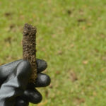 Core Aeration