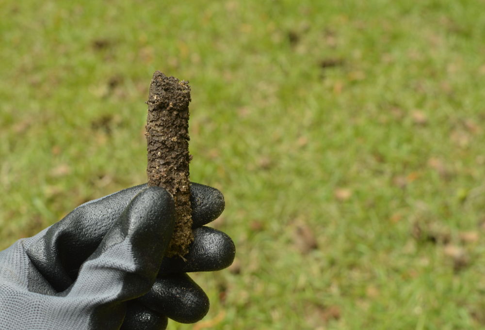 Core Aeration
