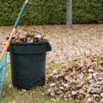 Autumn,Leaves,In,A,Garbage,Can,-,Horizontal