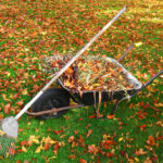 Wheelbarrow,Full,Of,Leaves,With,Rake,And,Leaf,Covered,Grass