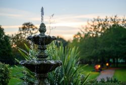 Fountain,With,Water,Drops,In,A,Park,With,Trees,Behind