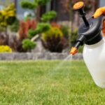 Closeup,Of,Handheld,Pump,Pesticide,Sprayer,In,Hand,Of,Gardener