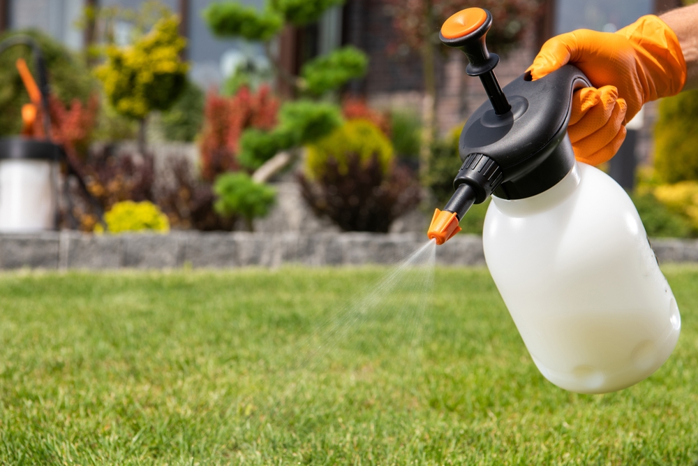 Closeup,Of,Handheld,Pump,Pesticide,Sprayer,In,Hand,Of,Gardener