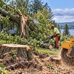 Storm-damaged tree removal and stump grinding at a Northern New York home after severe weather.