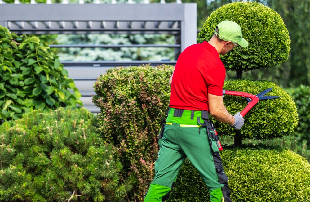 A,Landscaper,In,A,Red,Shirt,And,Green,Pants,Is