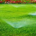 Automatic,Lawn,Watering,System,Watering,The,Young,Green,Lawn,Grass