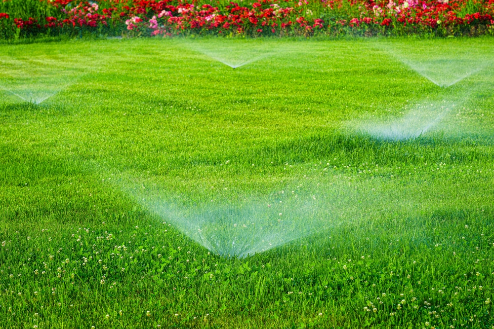 Automatic,Lawn,Watering,System,Watering,The,Young,Green,Lawn,Grass